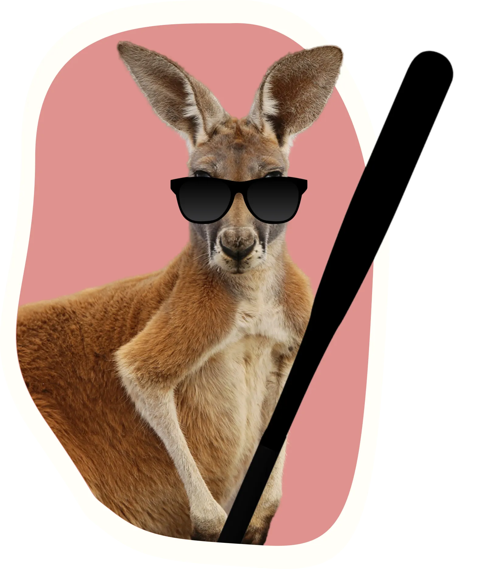 A kangaroo with a bat